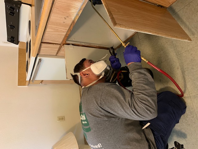 PCSI technician treating kitchen cabinet voids